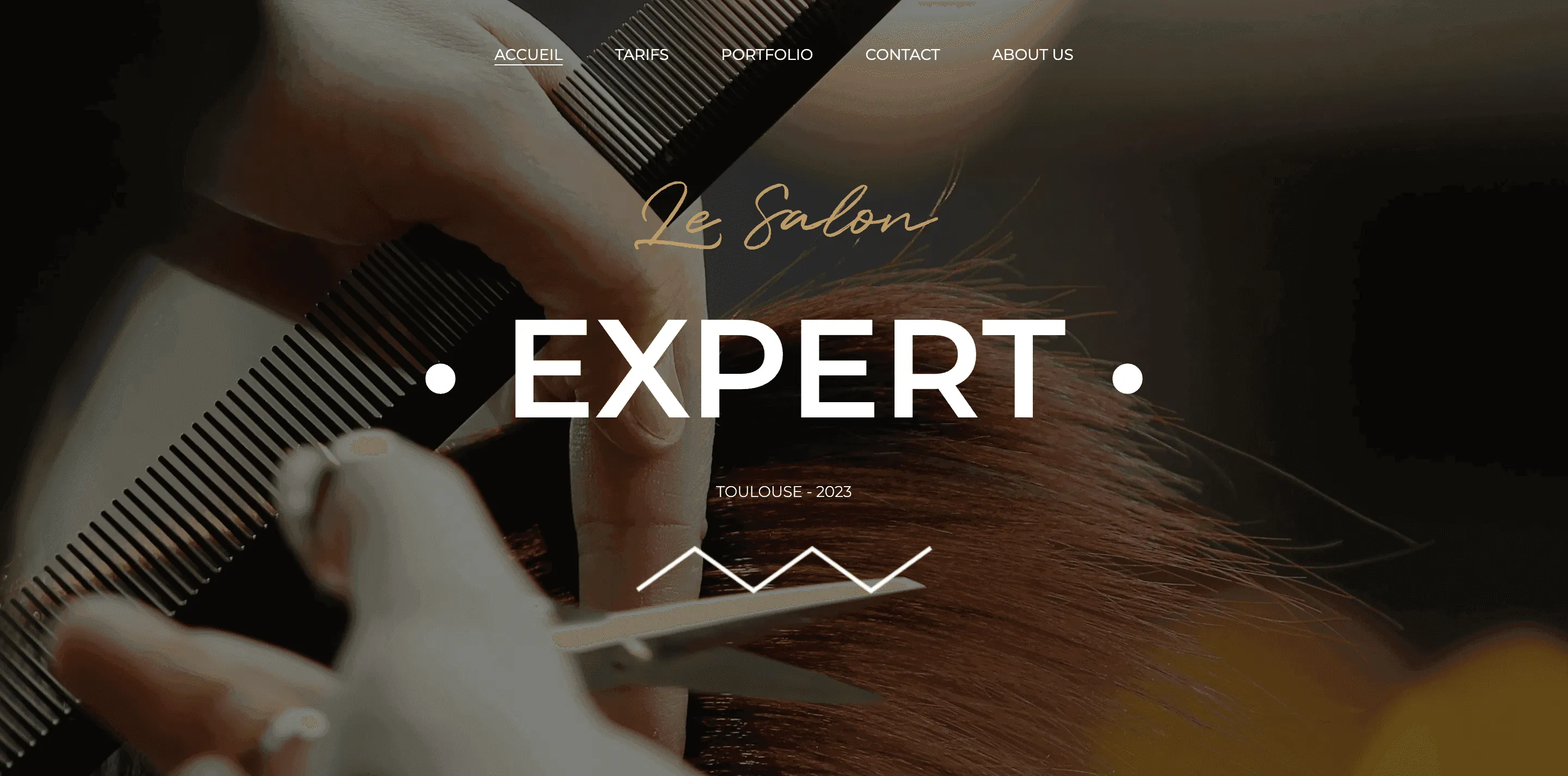 Image du site coiffure.theo-larrue.fr