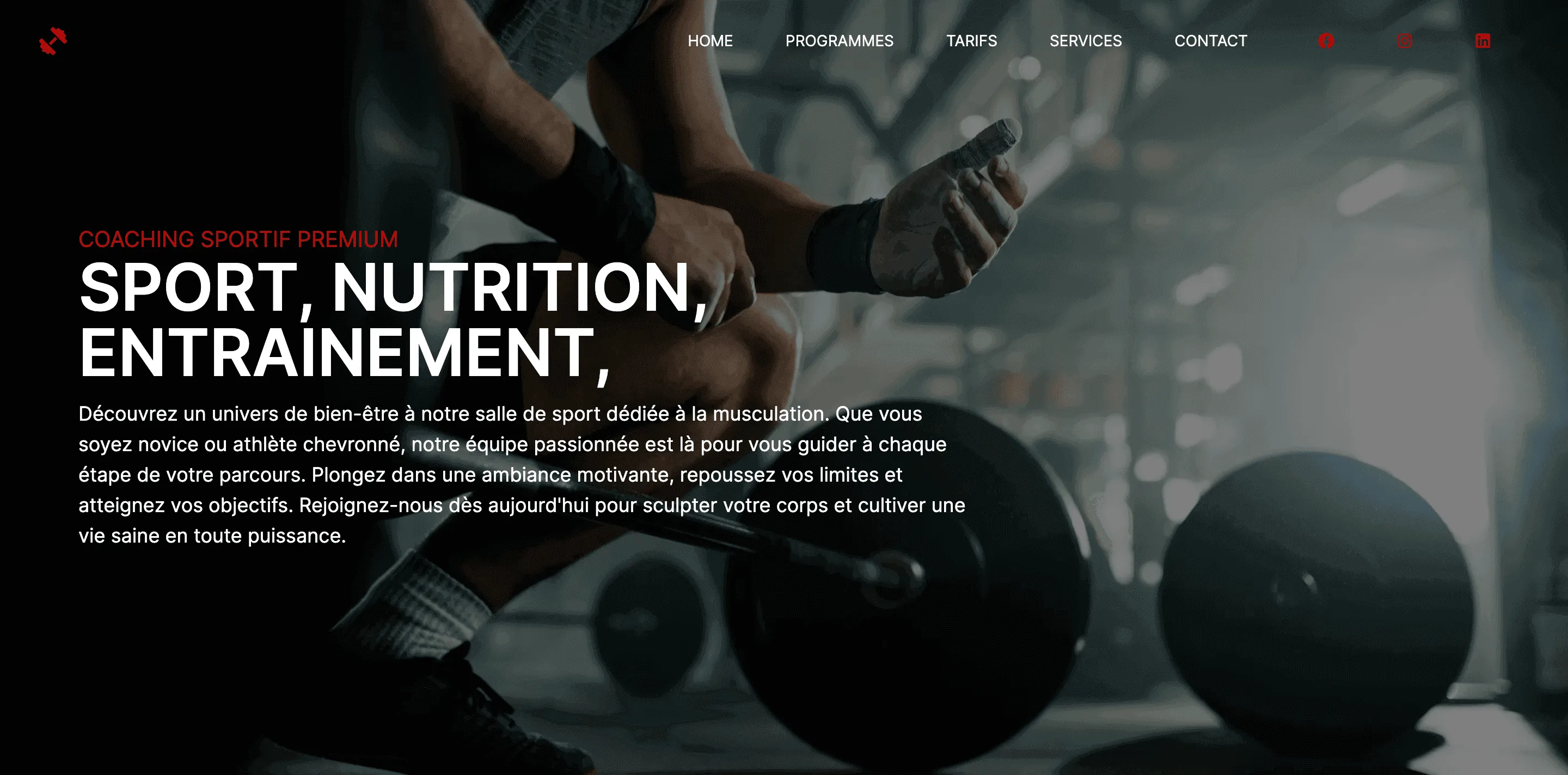 Image du site sport.theo-larrue.fr